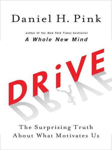 Drive book cover